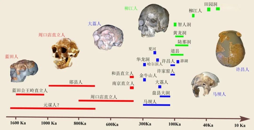 解读2024重大科学问题 | “中国境内古人类是现代中国人祖先吗”