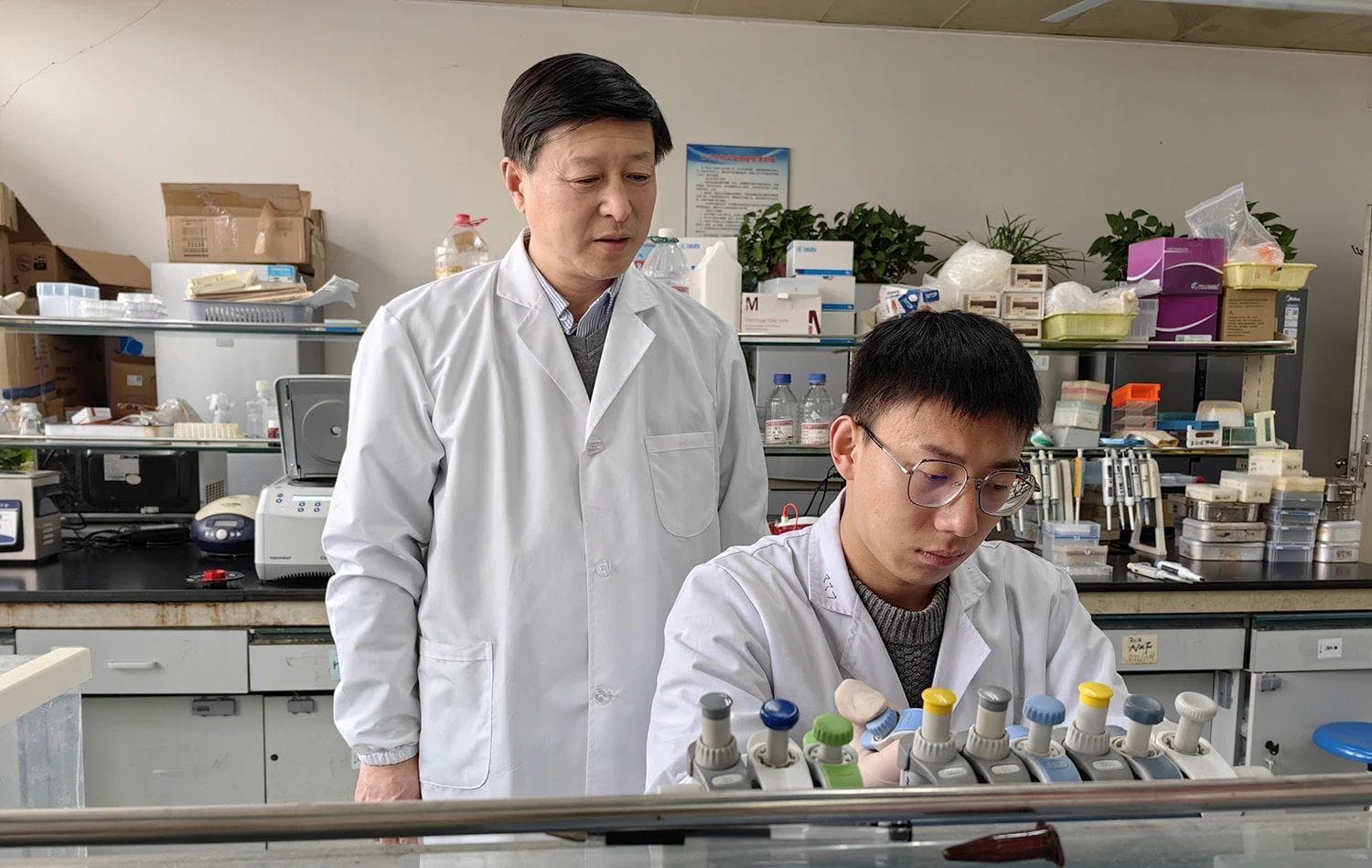 最新研究：中国版纳豆可降低15%-20%心血管病风险