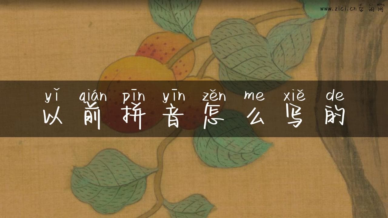 以前拼音怎么写的？揭秘老式拼音的变迁与魅力