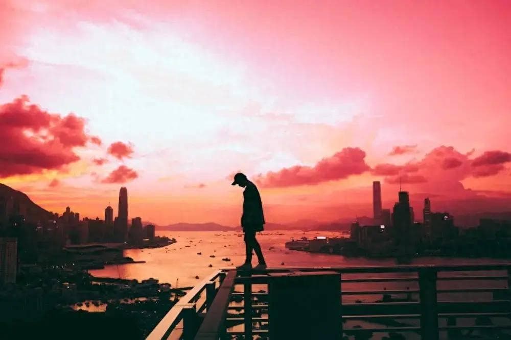 疯狂小杨哥和辛巴，踏入同一条河流