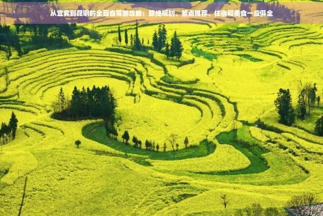 从宜宾到昆明的全面自驾游攻略：路线规划、景点推荐、住宿和美食一应俱全