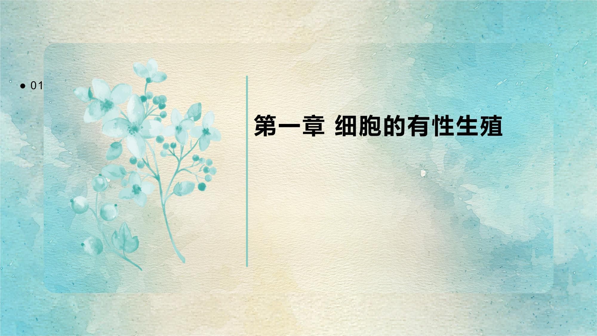 细胞的有性与无性生殖