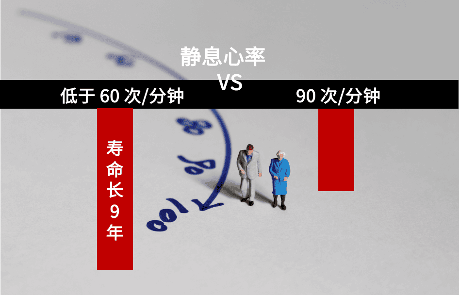 心跳慢更长寿？心脏最爱的运动是它！你可能不知道…