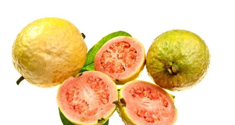 番石榴怎么吃才最美味？14种创意吃法推荐