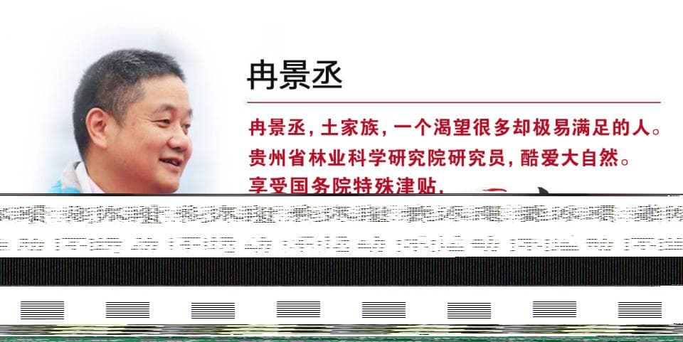 野性贵州 有问必答丨黑乎乎的“黄精”是一剂“灵丹妙药”……