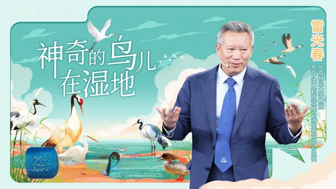 请查收！“四季必看”的观鸟指南来了→