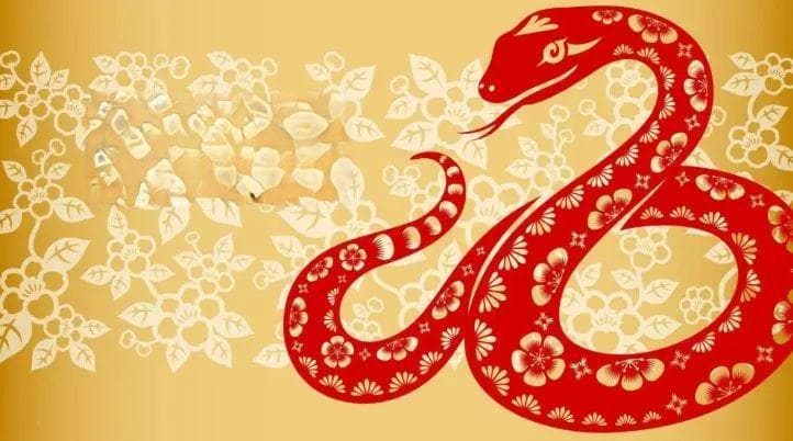 春节相关英语词汇大汇总！春节习俗、春节特色美食中英文对照！