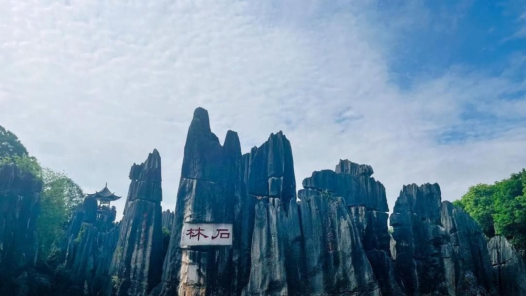 治愈系巅峰！豆瓣9.7分零差评动漫