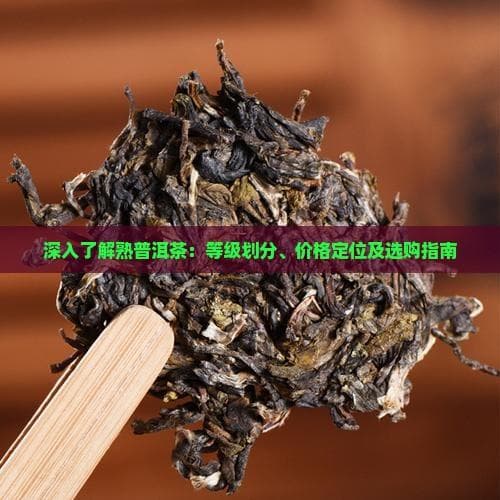 熟普洱茶等级划分与价格定位：从入门到收藏的全面指南