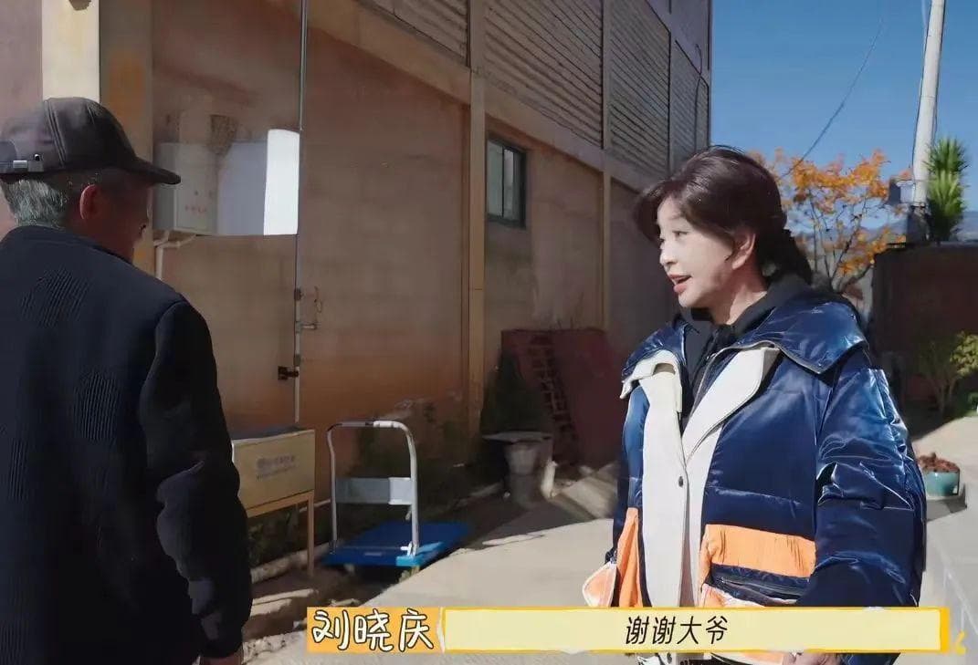 被低估的刘晓庆 VS 被网暴的李小冉