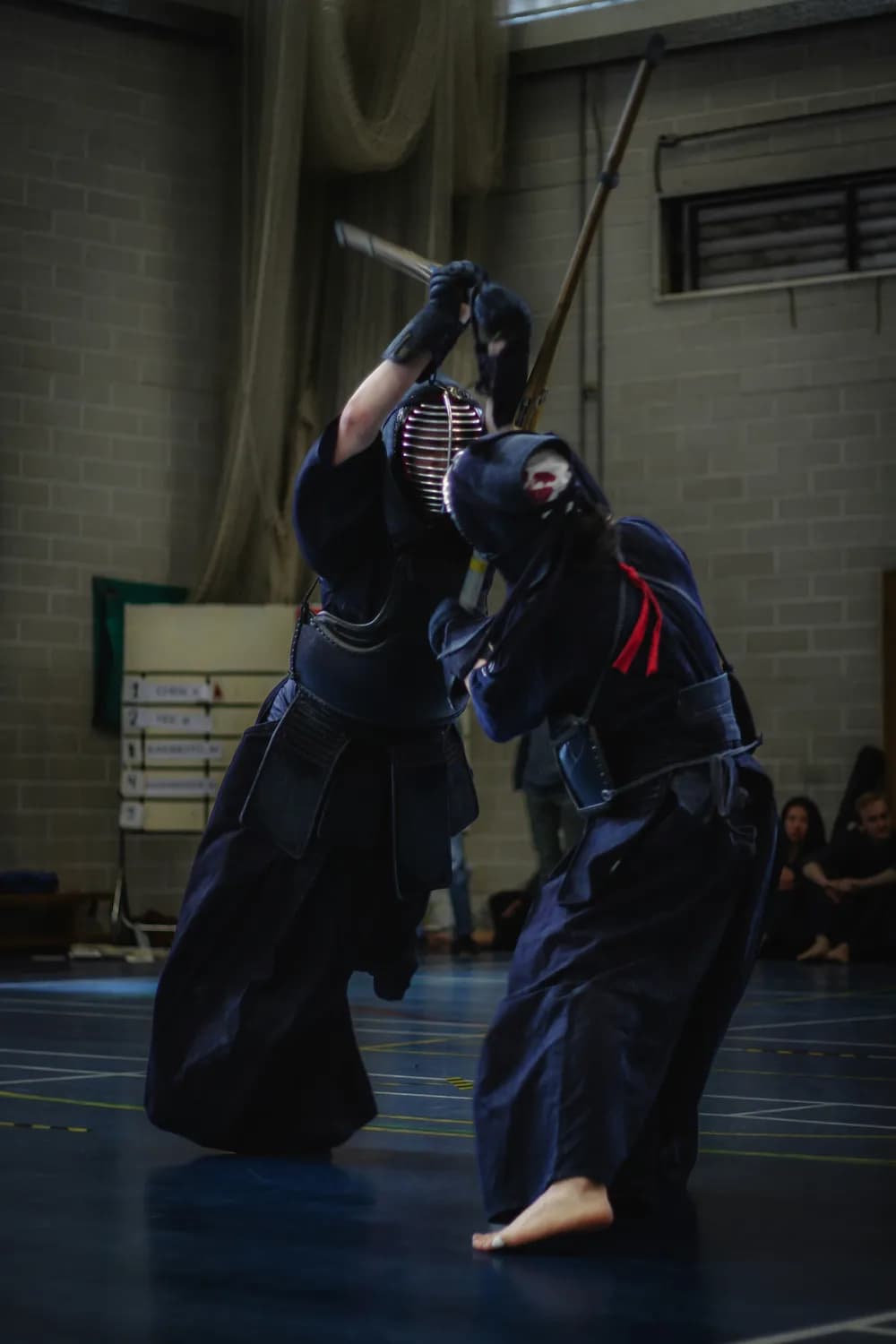 德国武术联合会：从历史到冠军之路