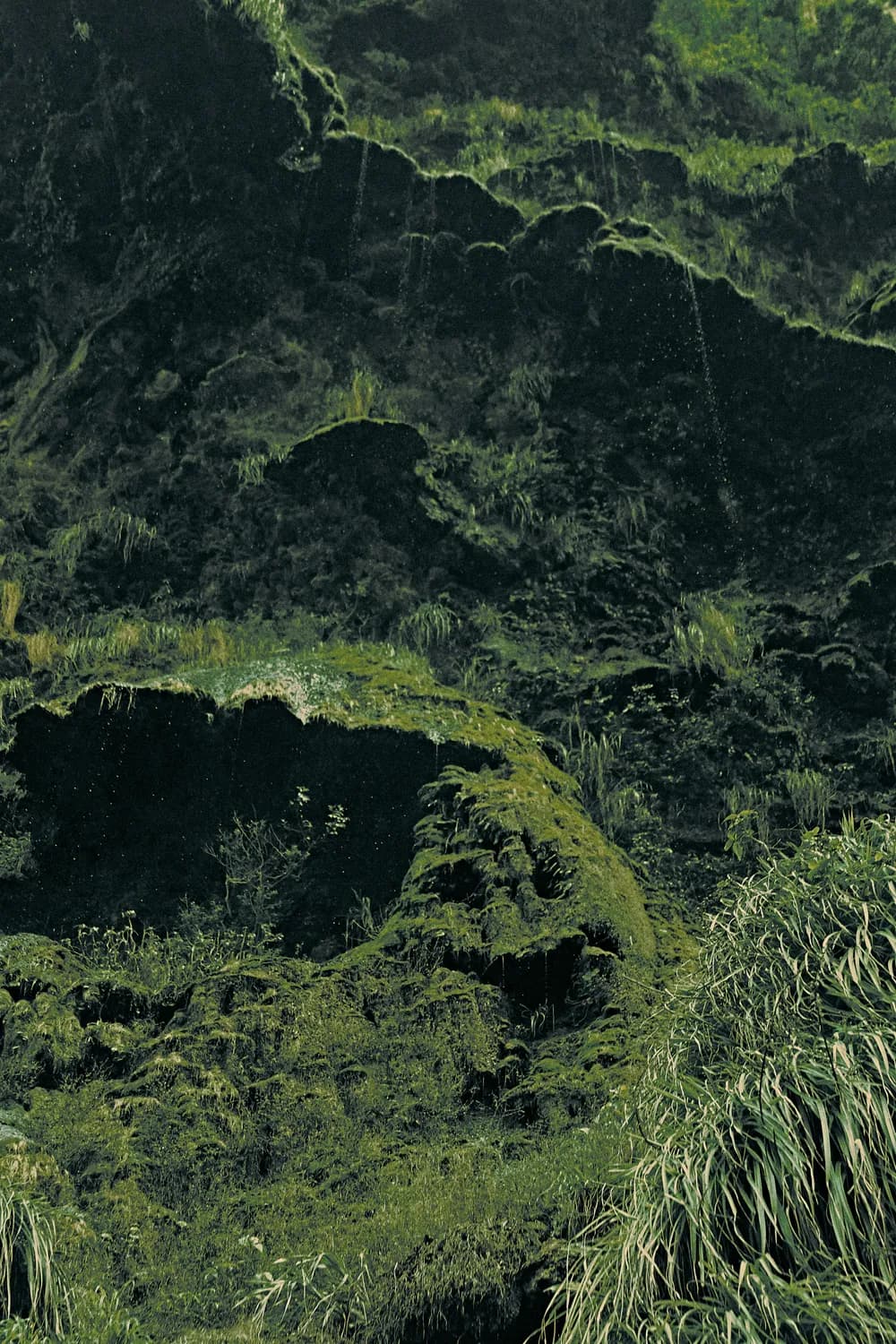 墨江：北回归线上的绿色家园