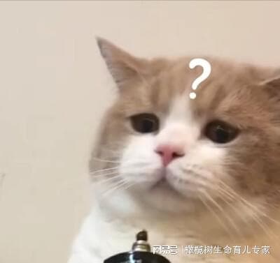 唐氏筛查结果怎么看？高风险=唐氏儿吗？