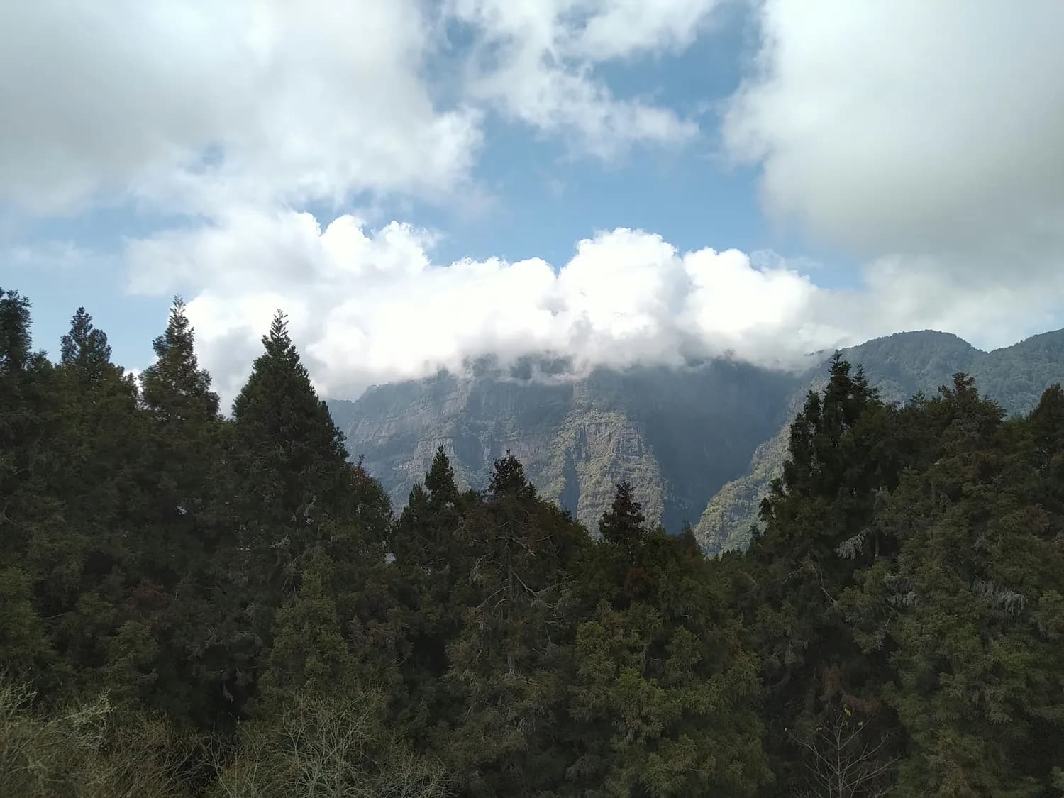 江西三大旅游打卡圣地：庐山、滕王阁、三清山