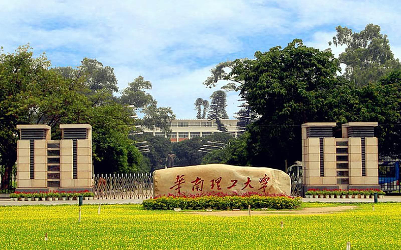 2025年华南理工大学学科排名（全国第四轮评估结果)