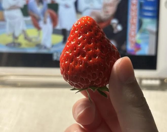 5步教你选出甜过初恋的草莓