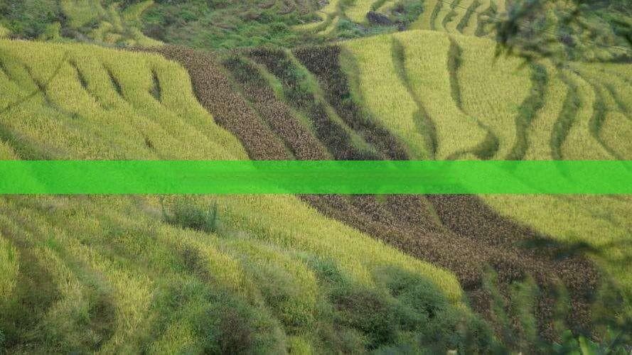 探索湖北麻城：揭秘热门旅游景点与文化古迹之旅