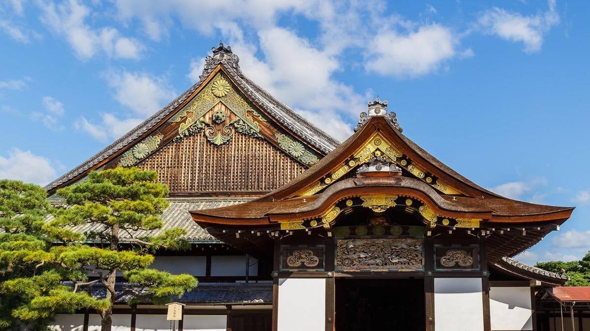 京都二条城：夜莺地板见证幕府兴衰，世界遗产里的日本历史