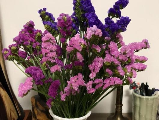 如何让鲜花保鲜更久？（15个妙招教你让鲜花持久鲜艳）