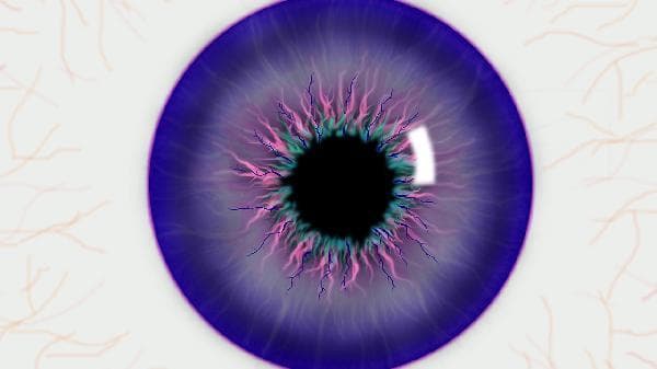 飞蚊症：从生理现象到眼病预警，全面解析眼前“飞蚊”现象