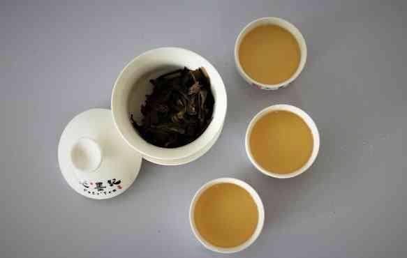 什么壶型最适合泡生普茶？一份全面的选购指南