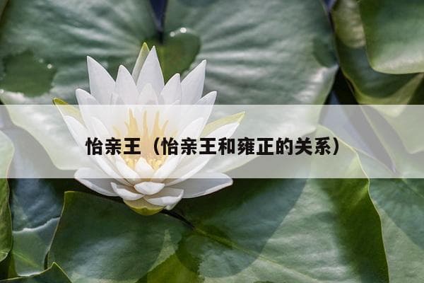 清朝怡亲王：从胤祥到载垣的六代传承