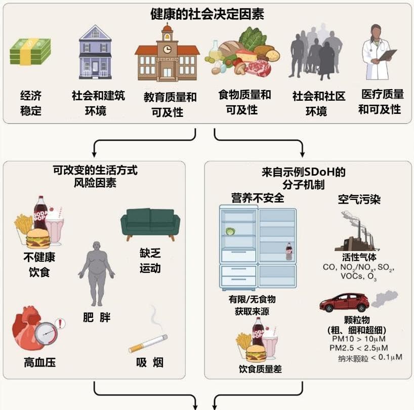 【学术前沿】糖尿病的现状、未来的挑战与机遇