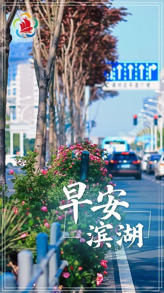 红嘴鸥如约而至，无锡太湖畔迎来“白色精灵”