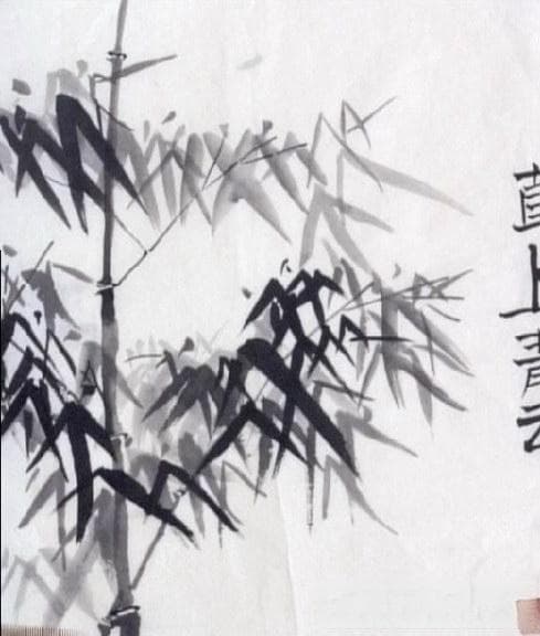 无人扶我青云志，我自踏雪至山巅：徐霞客名句解析