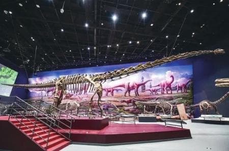 化石见证地球生物霸主的变迁