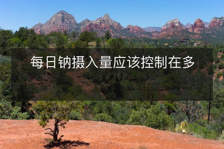 每日钠摄入量应该控制在多少？