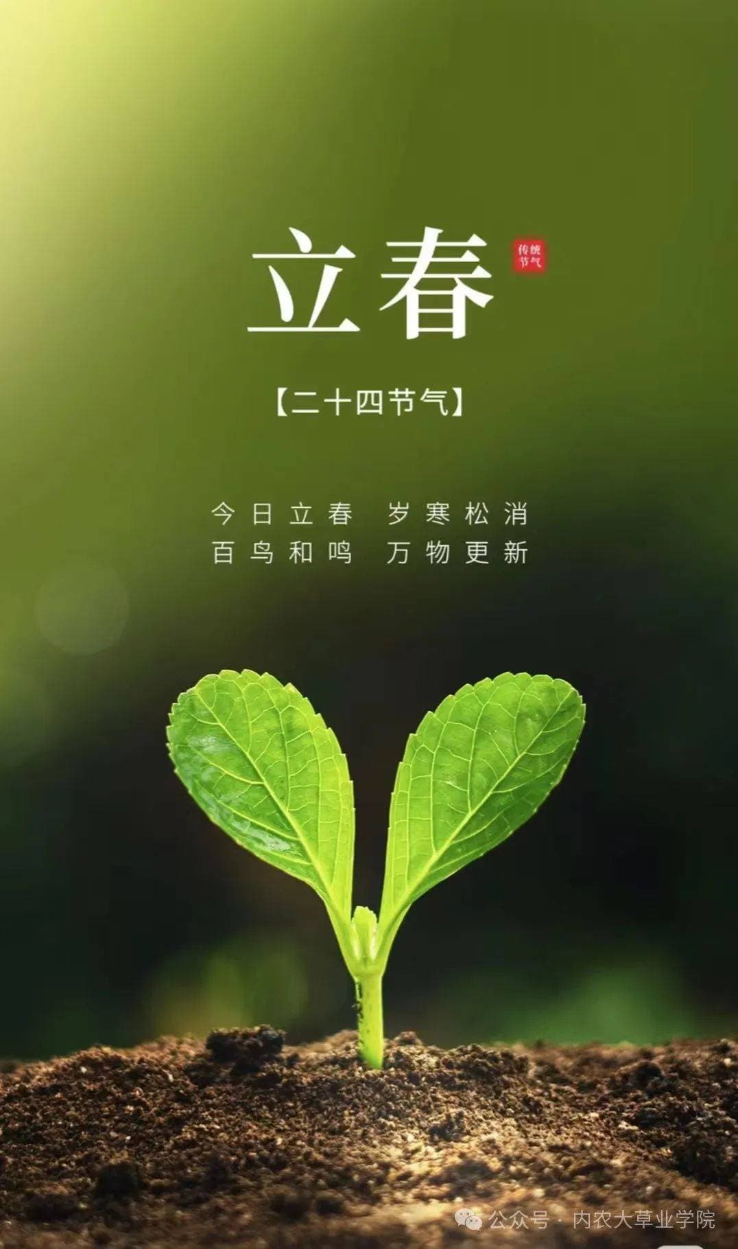 立春：二十四节气之首的文化内涵