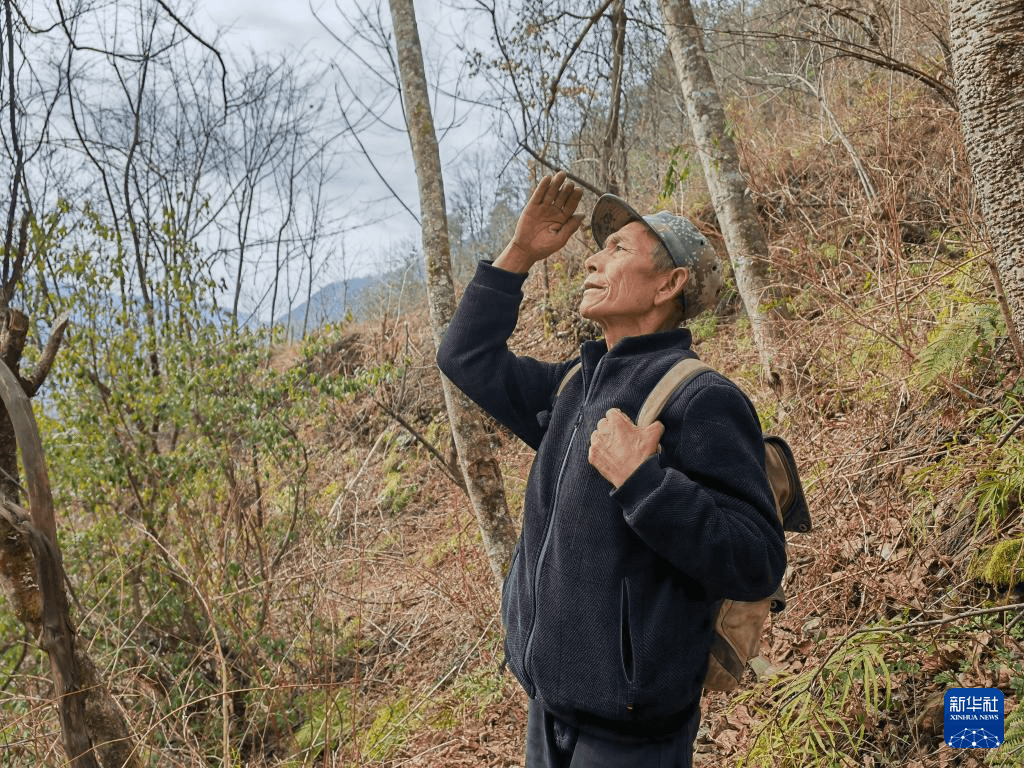 护猴员余建华：守护它们，直到自己走不动的那一天