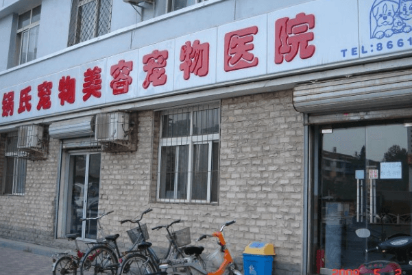 宠物医院的服务有哪些（项目）