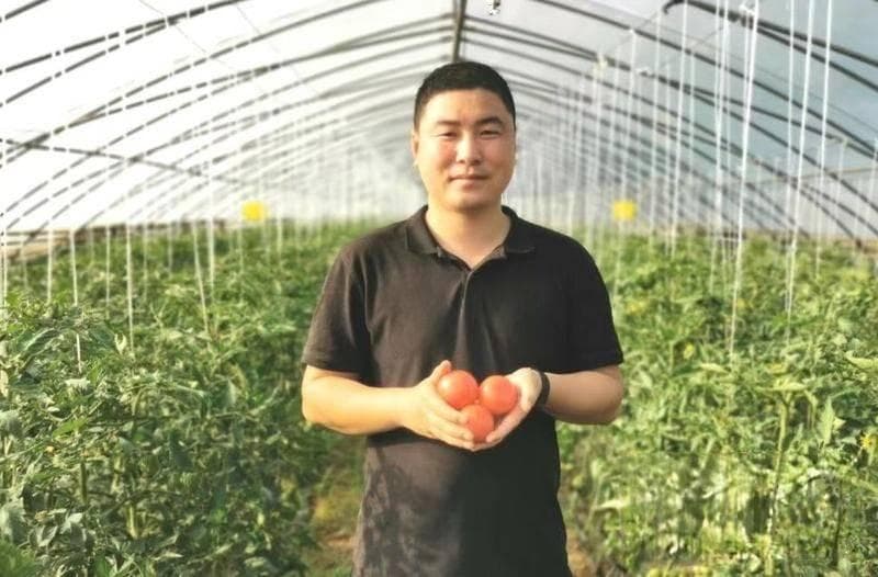 报效祖国 建功西部：周至90后大学生回乡创业10年 实现“新农人”梦想