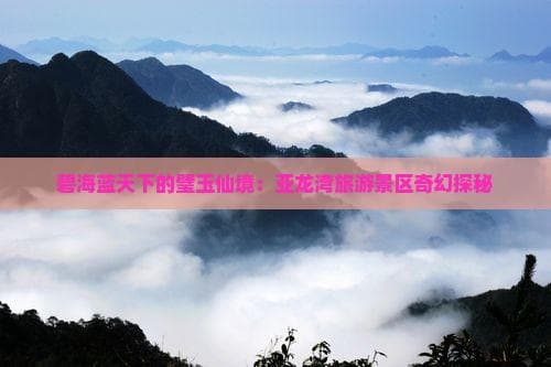 海南最大热带森林公园现96%覆盖率，曾是《非诚勿扰II》取景地