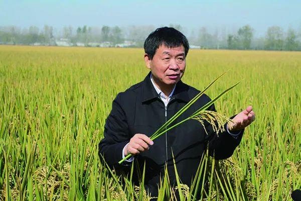 中国科学院院士李家洋：用一粒种子改变世界