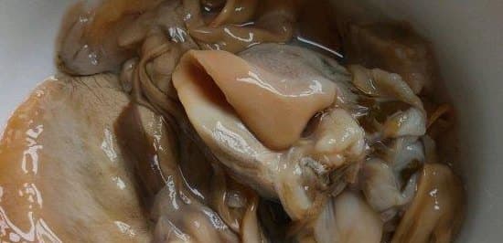 河蚌怎么处理（河蚌怎么处理干净）