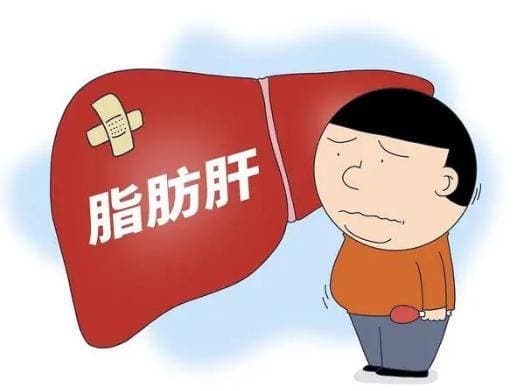 脂肪肝人群，平时该注意哪些？做好6件事，或有助于改善肝脏问题