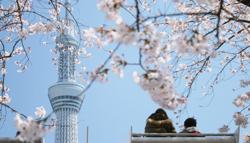 东京晴空塔全攻略：从交通到观景台，玩转世界第一高塔
