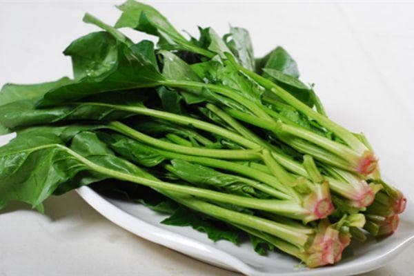 原来菠菜根才是菠菜的精华所在