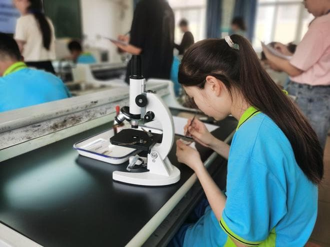 5分钟解决遗传题，亲民试题受到好评！2025浙江生物首考反馈