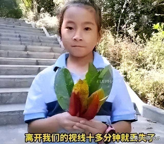 失踪一周！云南8岁女童尹潇楠案件陷入迷雾，网友纷纷猜测