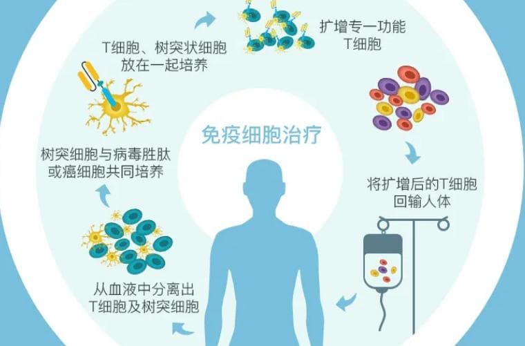 免疫细胞疗法全攻略：解锁12大常见疑问，一次讲透！