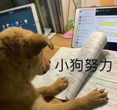 1例狂犬病患者死亡！10年前被狗咬过，现在还要打疫苗吗？
