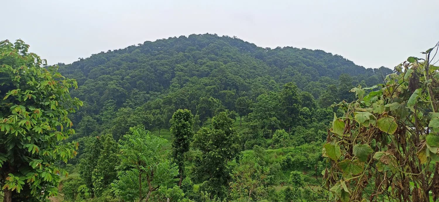 无量山主峰笔架山：普洱市的自然奇观