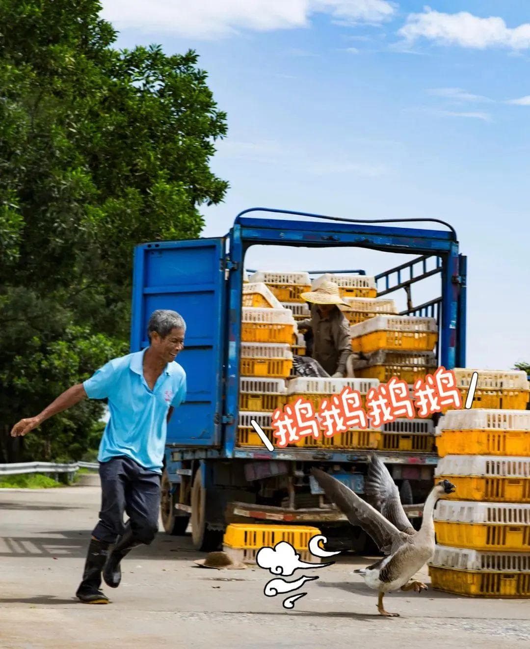 阳江美食：炊鹅、鸡油捞粉、咸圆子……