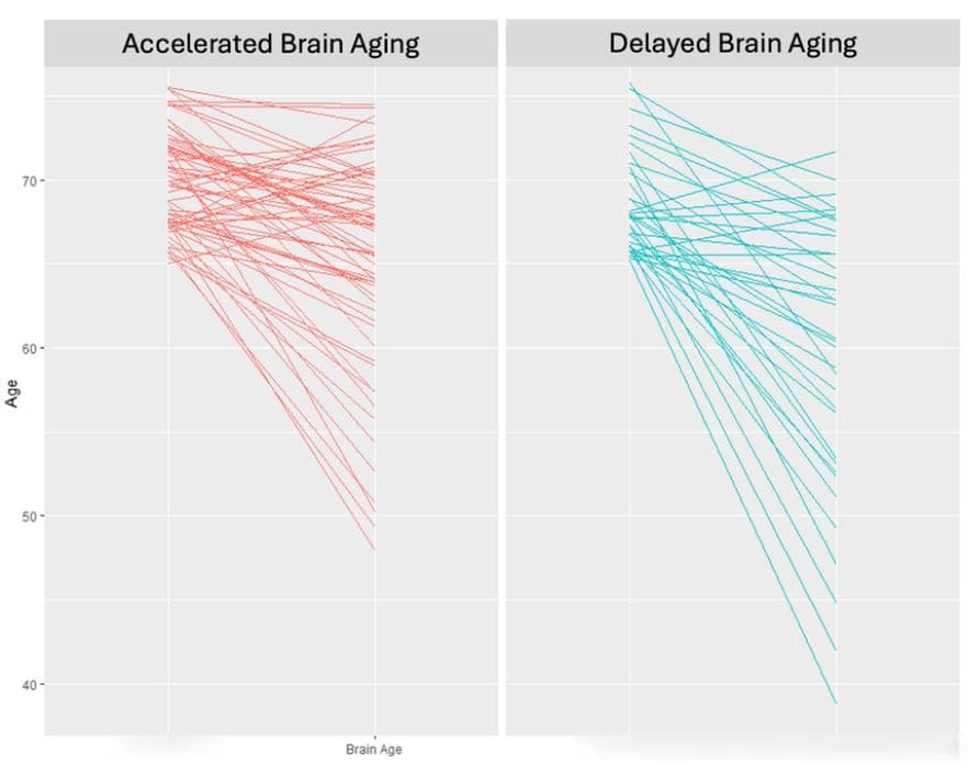 揭秘大脑不老秘诀！npj Aging | 特定的营养物质或能减缓大脑衰老