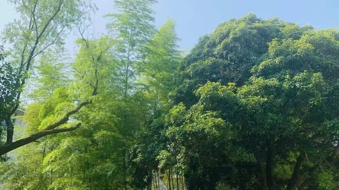 学习的葵花宝典——《错题本》