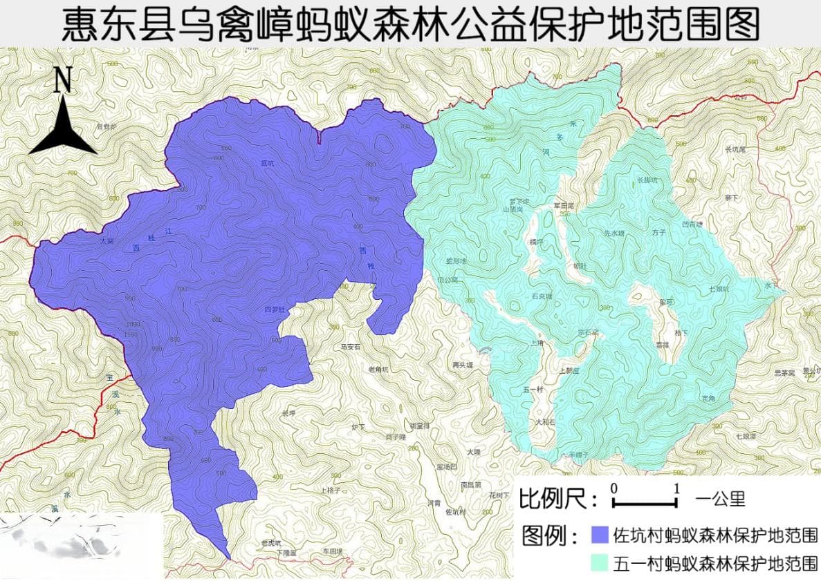 乌禽嶂中华穿山甲公益保护地：从发现到保护的生态奇迹